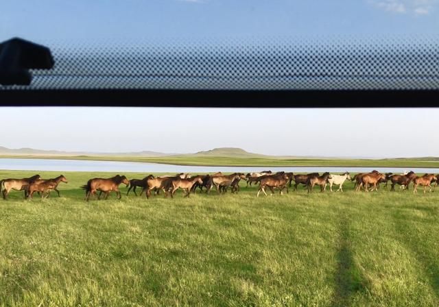 自驾房车在内蒙草原和暴风雨赛跑，被巨大的乌云盖顶是什么感受？