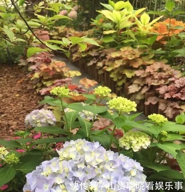 「平方」有了30平方的小院,能将日子过成了诗?简单而精致,优雅而从容!