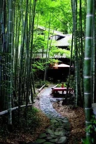 打造炫酷庭院，在家也能欣赏“风花雪月”！