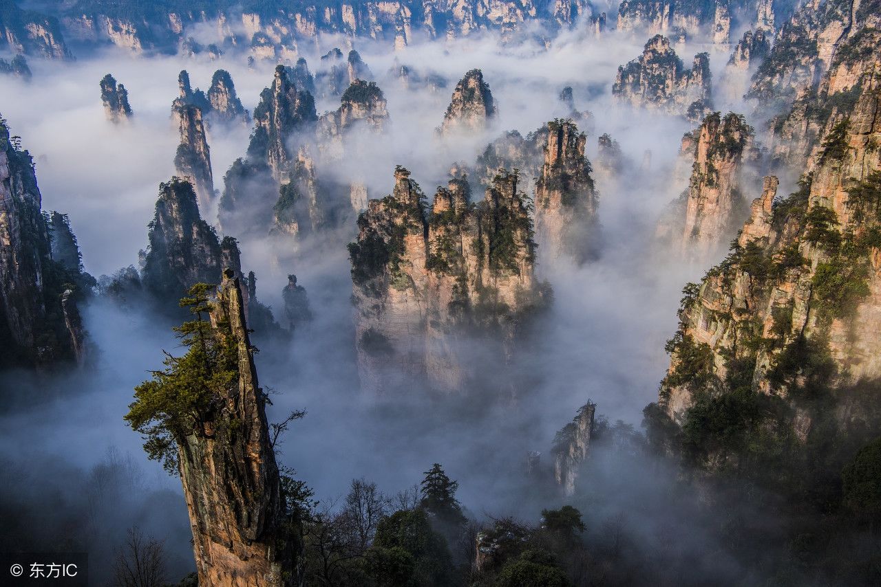 山西未被开发的避暑胜地，有着张家界一样的绝美风景，还不收门票