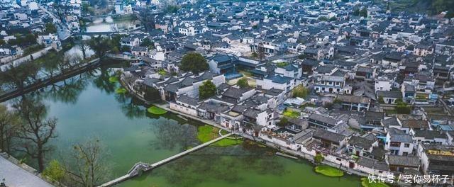 樱花:江南的美当然不分四季,可我却钟爱江南的春天,爱她的恬淡隽永