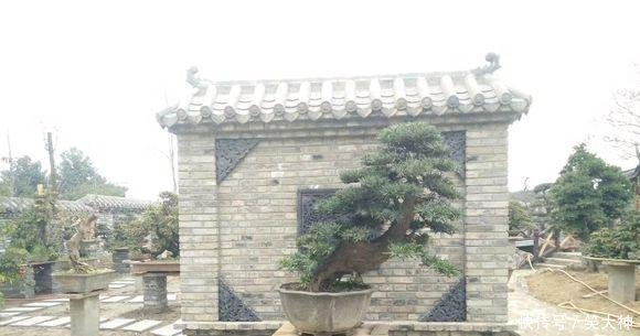 占用耕地“违建”何时休这么漂亮的盆景园，也逃不过被拆的命运