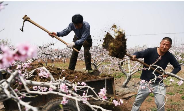  「好处」农家肥料给农作物和土地带来的好处是什么