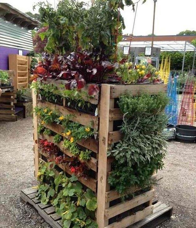  设计|城里人越来越流行在家种菜了！分享10种菜园设计，省钱还健