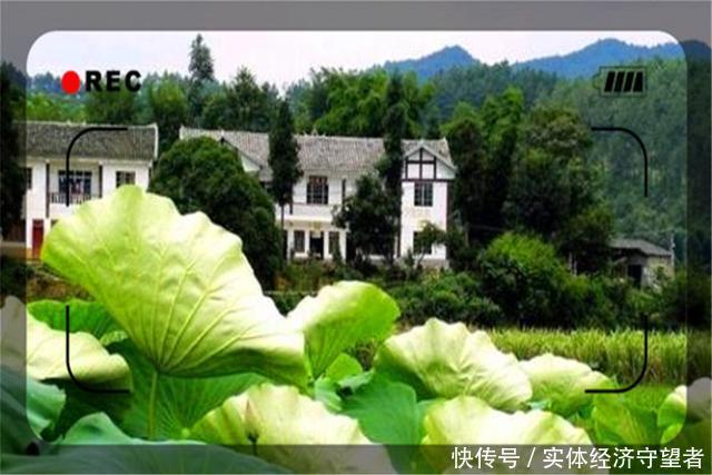  【小生意】目前在农村，可以月入上万的小生意有哪些？这里推荐几个供参考