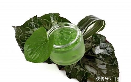 做好防晒:芦荟胶美白吗 请不要再被误导了