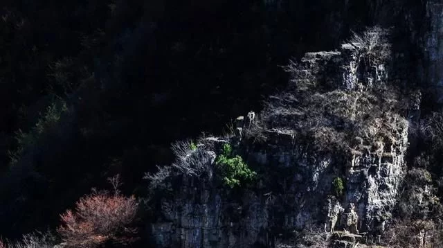 2020年,这个新年假期太长了,待到春暖花开时,相约太行大峡谷