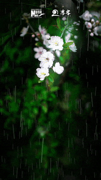  『记得』因为记得，爱将生生不息