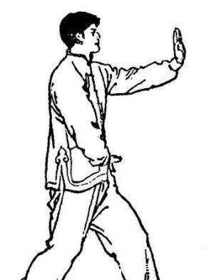  山西|形意拳基本属于象形拳