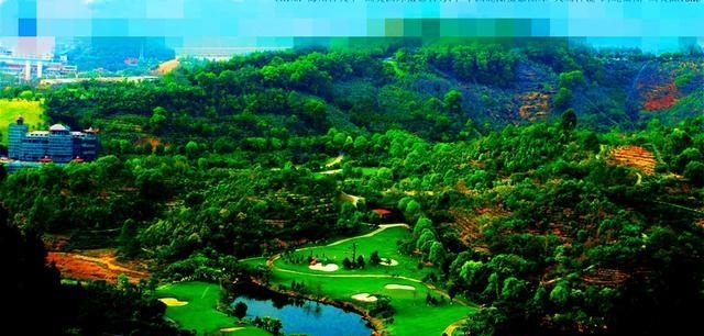  「深圳」广东最大的区，比汕头还大，相当于1个东莞，接近1.5个