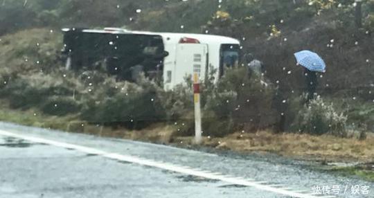 新西兰旅游大巴侧翻致中国游客5死多伤,网友回复:有钱还是国内