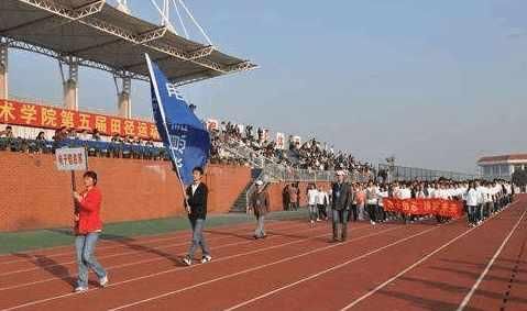 高考分太低! 这4所大专学院很不错! 有的年薪