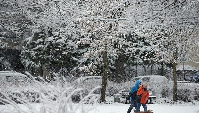  #大寒的节气#“小寒不冷大寒冷，大寒不冷倒春寒”，今年大寒冷
