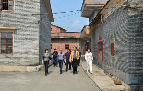  「明年」明年起，农村将清查这3件事，农民朋友要注意自身利益