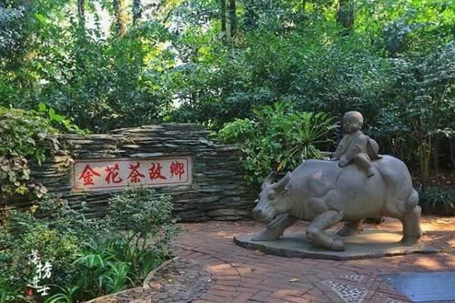 广西这个公园有“植物界的大熊猫”，深受外国人喜欢，还免门票