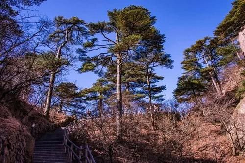 登上始信峰，才终于相信游此山后，天下无山