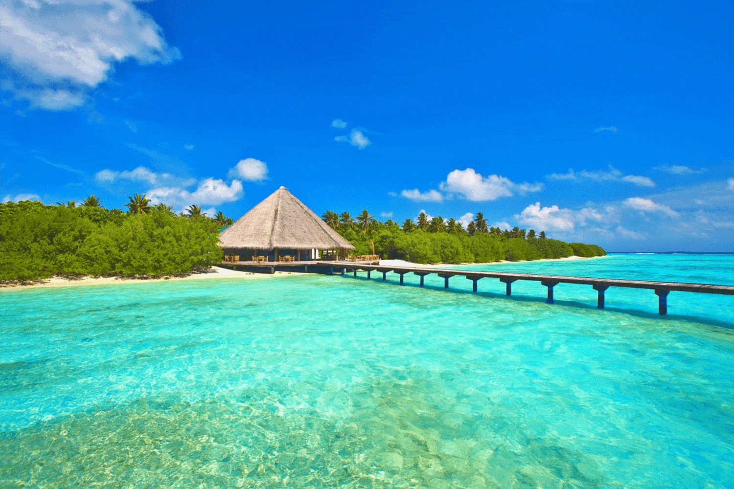 亚洲一奢侈岛国，面积很小不到10万平方公里，消费却超出很多国家