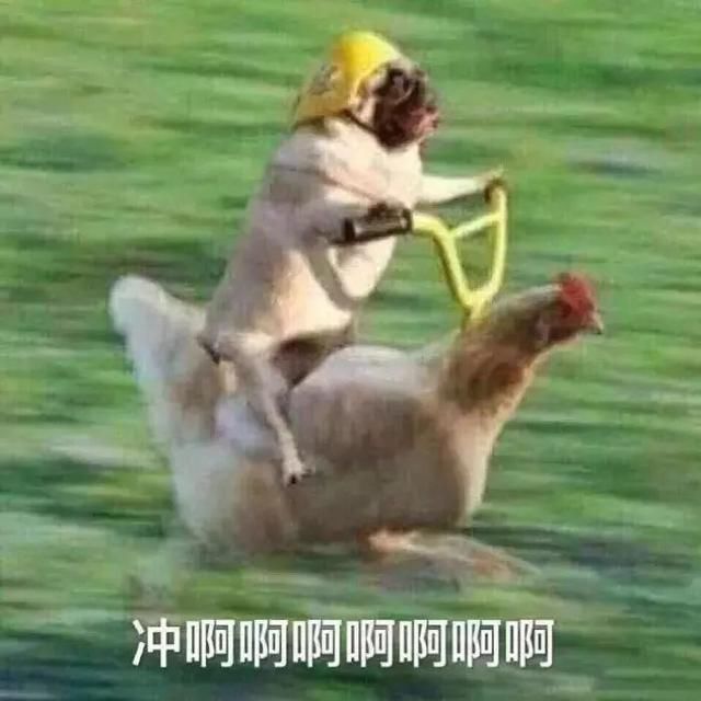 补发6个月工资！有你吗？