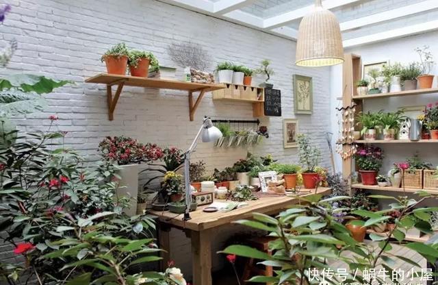  适合|封闭阳台通风差，不适合养花？错！注意这5点秒变花园！