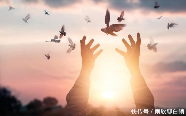 『自我一样』经典反思:无我,很有道理!