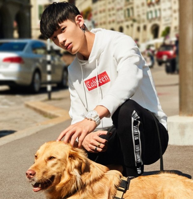 【双十一买什么】300块以内的裤子，你Pick哪条