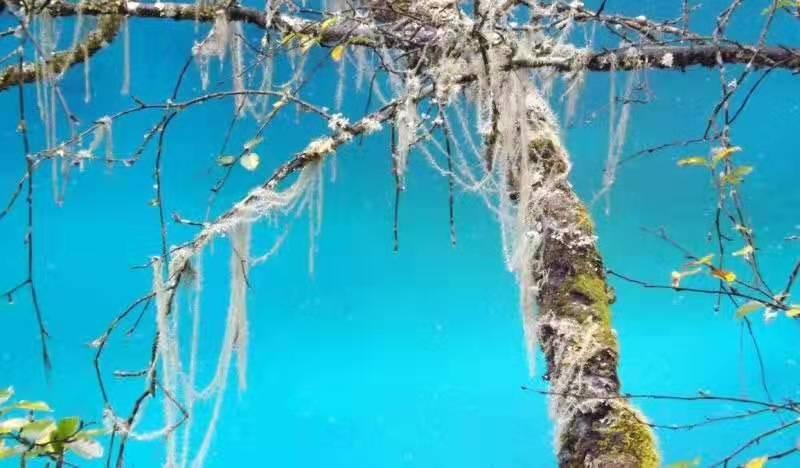 中国游客最稳定的6个旅游目的地，四季皆可玩，基本不分淡旺季！