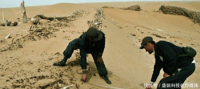 塔克拉玛干沙漠，我国投资几亿种下大量植被，结果成为奇迹