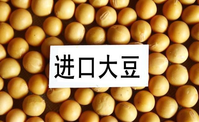 2019年玉米的“前景”如何？要不要种植呢？看完再做决定也不迟
