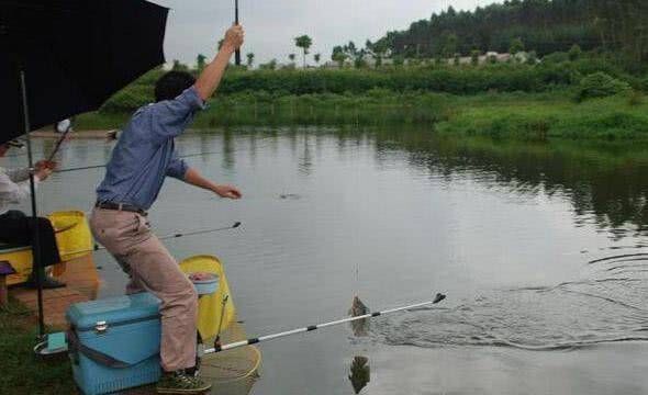  [鱼食口]野钓鲫鱼，顿口不断，信号清晰，为何提竿总是无鱼