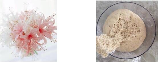 香蒲丽新款防晒霜真假辨别的六大方法