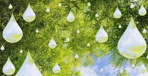  『男子』男子戒烟一年后，查出肺癌，医生提醒：这3个地方疼，及时检查