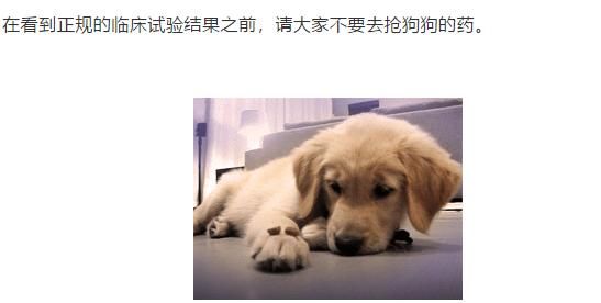 美国男子狗药治好晚期肺癌?肺癌专家吴一龙:以