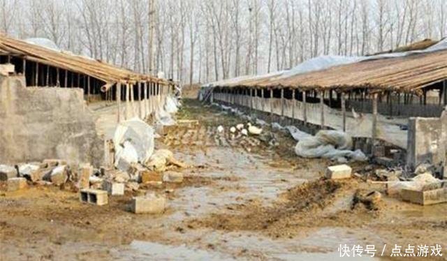 农村养殖场如果遇到这三种情况,可能会被拆除,村干部家的也不行！