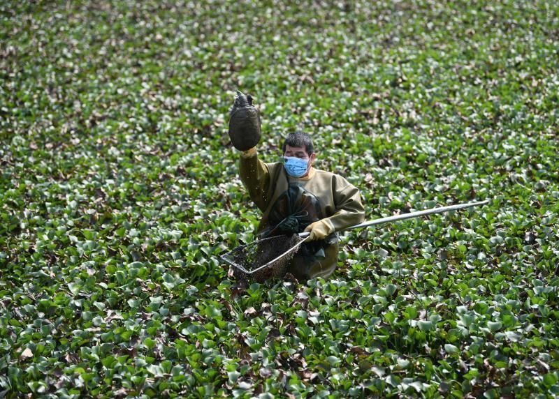  「养殖户」官宣可食用，近万只甲鱼卖不出愁坏了老养殖户
