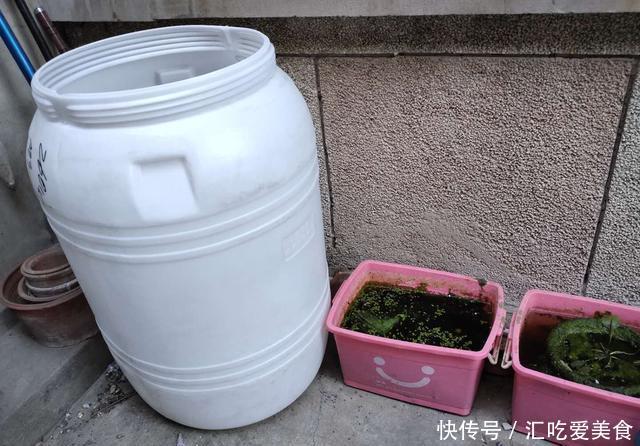  腾出■买了两个超大困水桶，能装五百斤水，腾出鱼缸饲养中大型观赏鱼