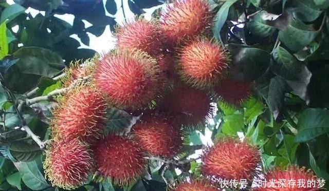 丽水有个隐藏在大山深处的世外桃源,带家人去走走吧