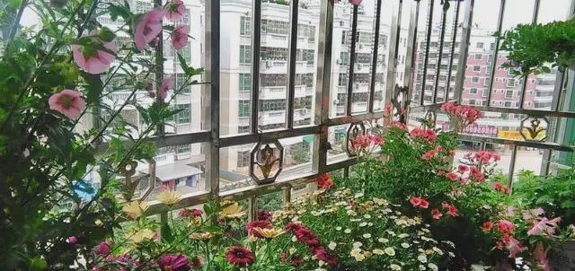  阳台：有一个小阳台，那就让它美成一道风景！