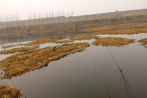  冬季|冬季钓鱼先看天，这些天气出钓，最容易爆护！