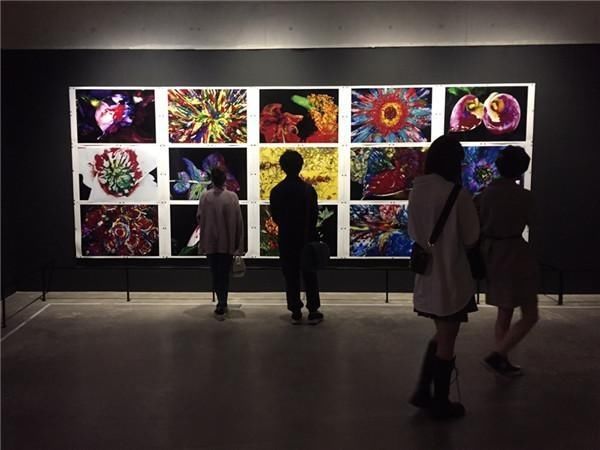 作品展@“不太一样”的花世界,荒木经惟·花幽摄影作品展开幕