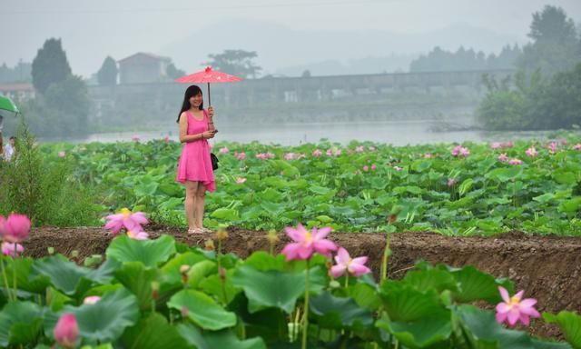 李子柒家乡绵阳风情