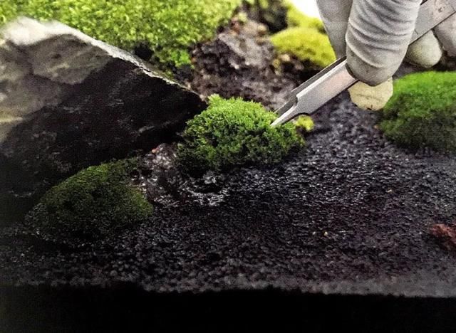 春色不仅在田野里，也可以刻在你家玻璃缸内的苔藓景观缸中！