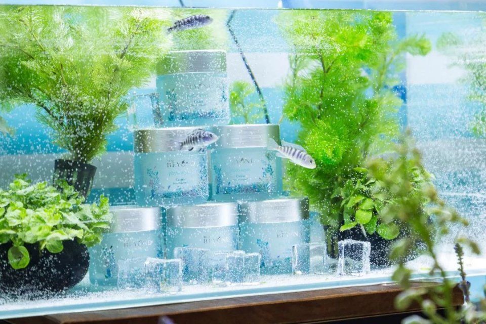 18岁的范丞丞也有护肤问题?点开领取新品!