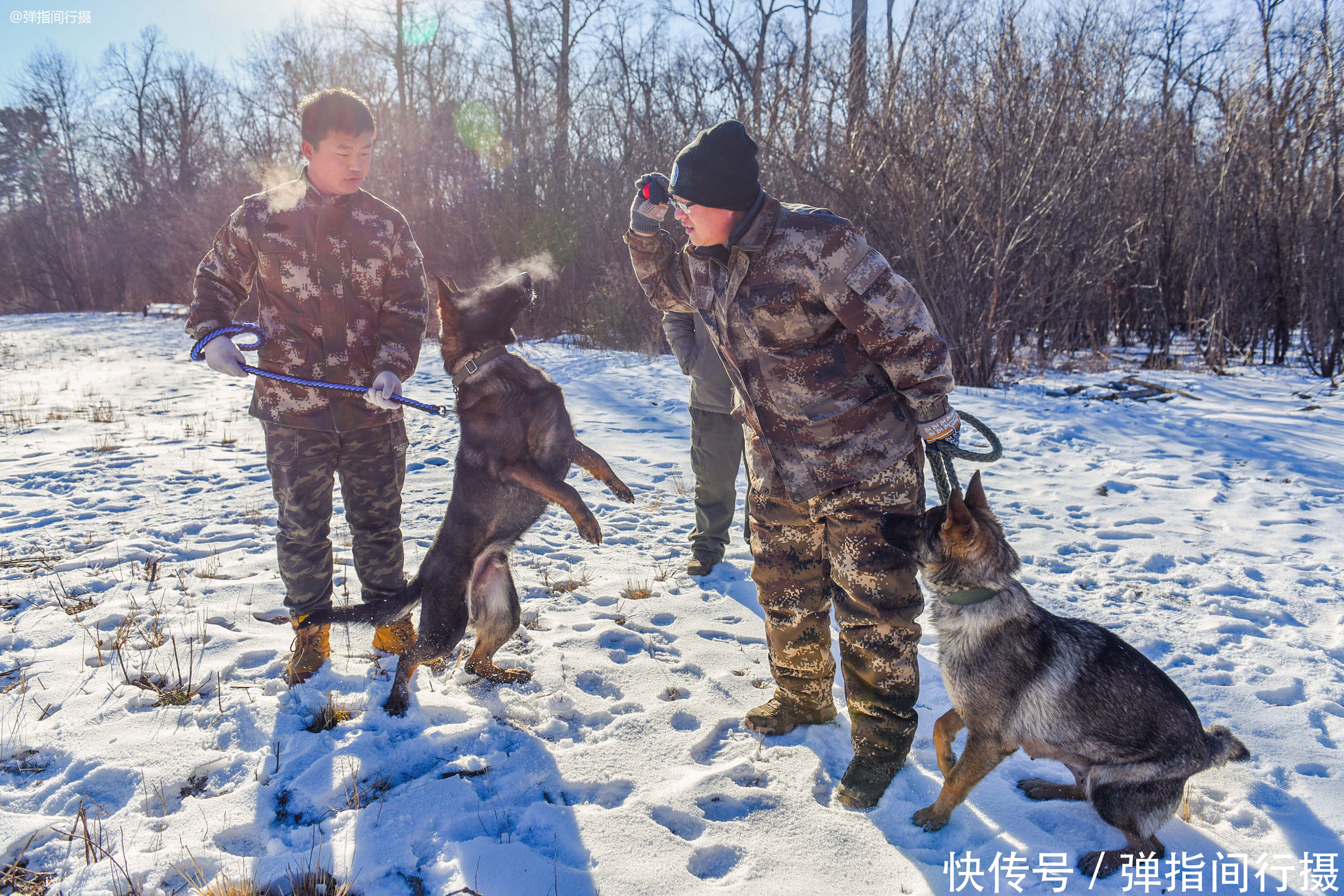 在-35℃的山林巡护，他们的工作为长白山带来什么？看完你会感动