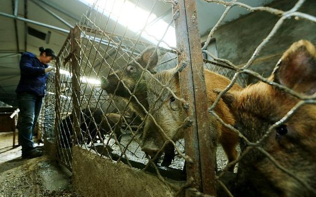  环境污染|为何现在有部分专家认为治理环境污染从农村开始？看完