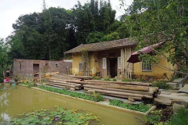  [水塘]农村俗语“门前新开塘，家败人又亡”，门前有水不好吗？