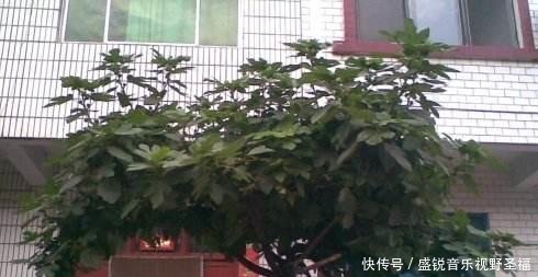 有钱人建房子也不这样做，师傅看了摇头，再富裕也会变穷