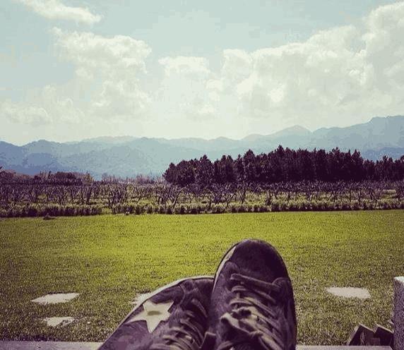 蔡依林从意大利回国, 穿着打扮新奇, 从头红到脚, 一双脏鞋亮眼