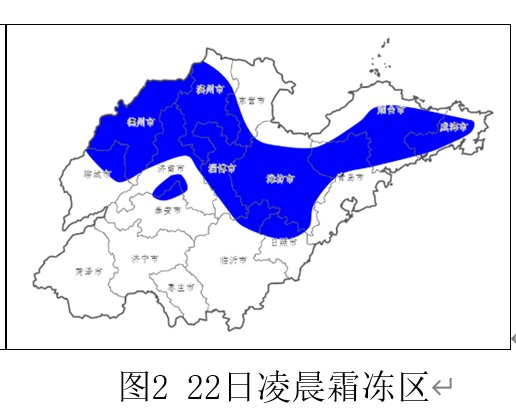  [地表]低温+霜冻！山东未来三天地表最低温-1℃！将对农业生产造成不利影响