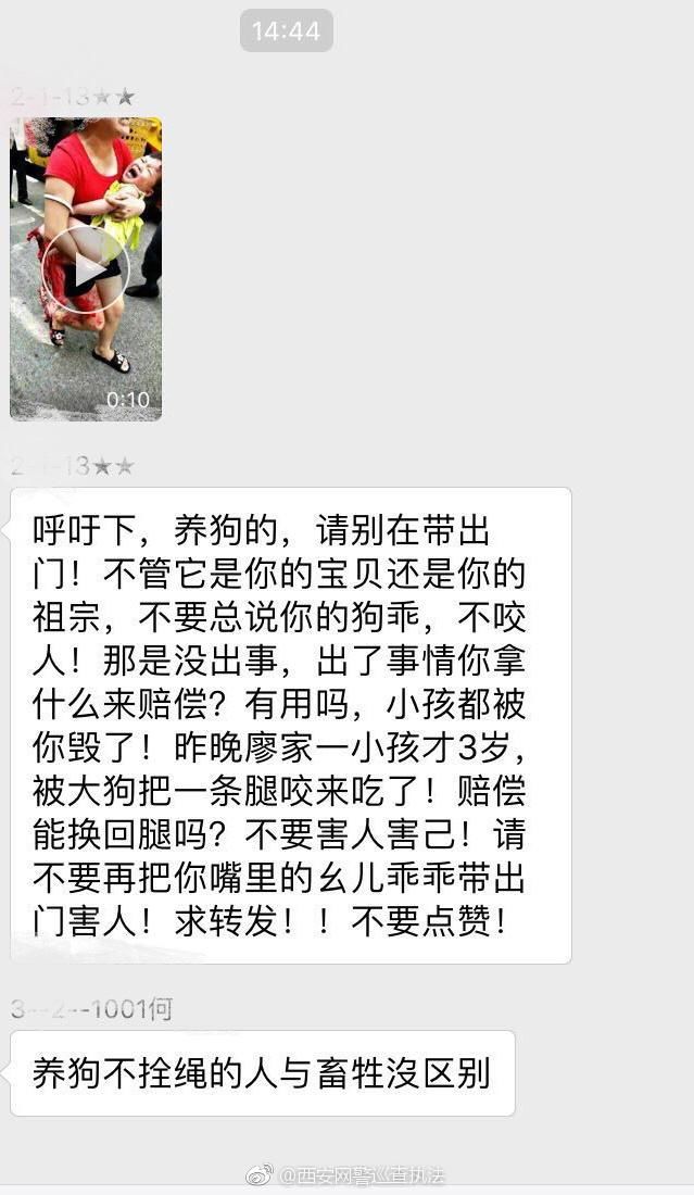 网传一小孩被狗咬伤，系谣言