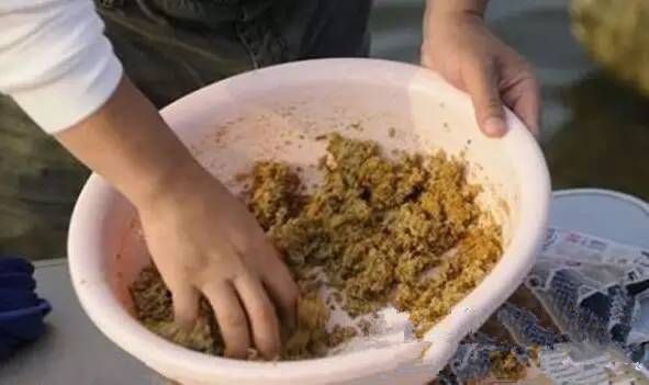  [轻重]常说饵料比重轻，那么饵料比重轻重分别有啥区别和意义